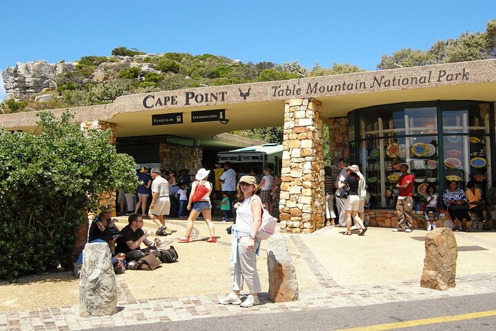 Cape Town Private Tour to Cape Point, Penguins and Table Mountain - Image 1