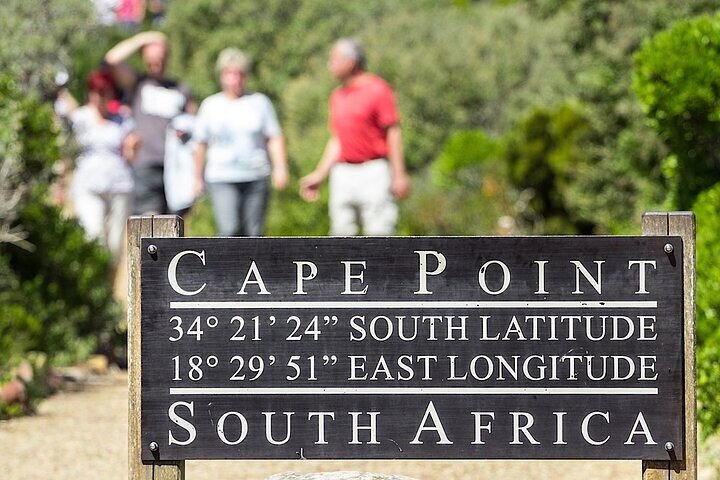 Cape Town Private Tour to Cape Point, Penguins and Table Mountain - Image 3