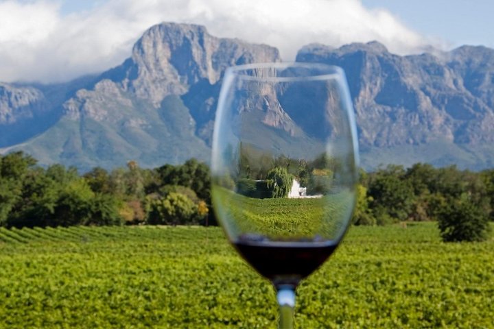 Cape town Private ,Wine Tasting Tour - Image 2