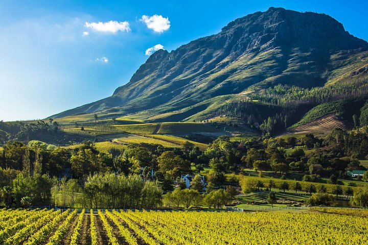 Cape town Private ,Wine Tasting Tour - Image 5