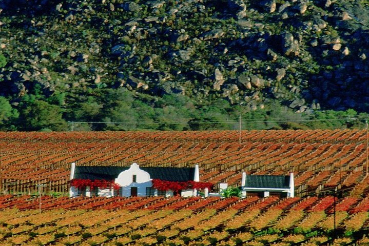 Cape town Private ,Wine Tasting Tour - Image 3