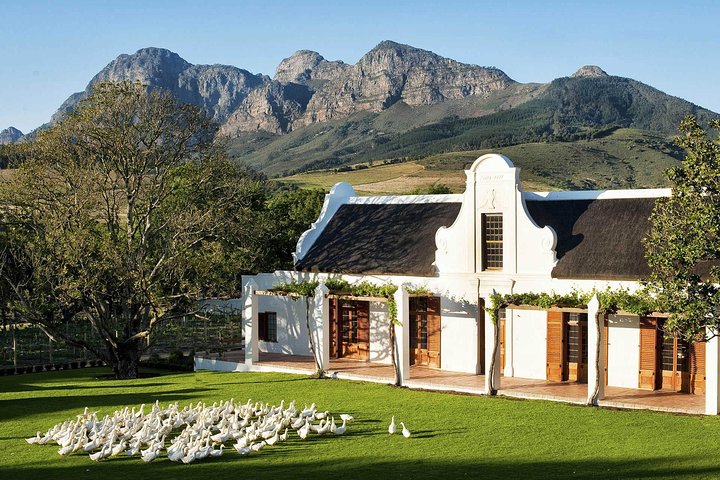 Cape town Private ,Wine Tasting Tour - Image 4