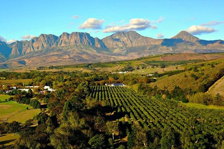 Cape Town Private, Wineland Tasting Tour  - Image 4