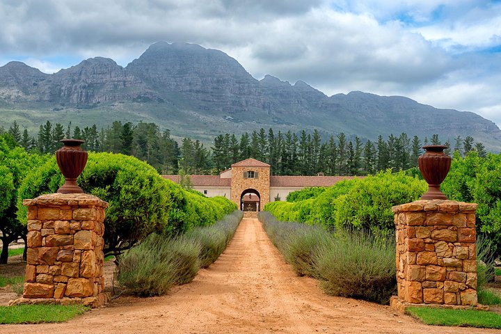 ( Cape town ) Private Winelands Tasting Full Day Tour - Image 5