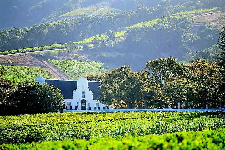 ( Cape town ) Private Winelands Tasting Full Day Tour - Image 3