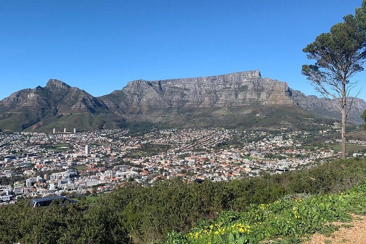 Cape Town Scenic Experience in 2 Days - Image 2