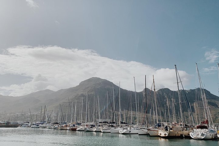 Cape Town Scenic Experience in 2 Days - Image 4