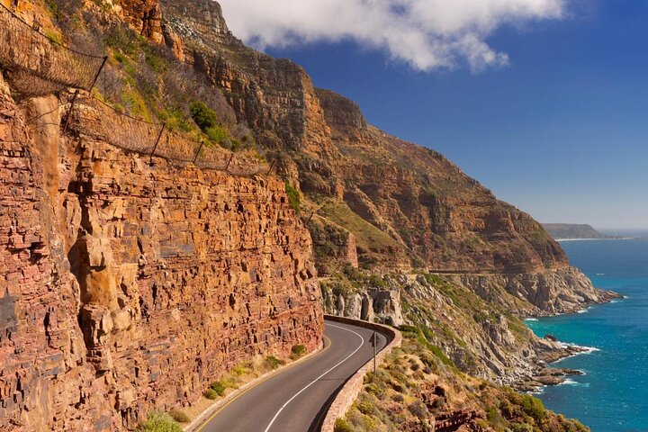 Cape Town Shore Excursion: Private Small Group Cape Peninsula  - Image 4