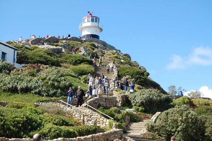 Cape Town Shore Excursion: Private Small Group Cape Peninsula  - Image 2