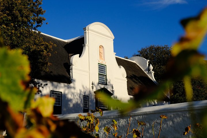 Cape Town Shore Excursion: Private Small Group Groot Constantia  - Image 1