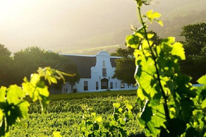 Cape Town Shore Excursion: Private Small Group Groot Constantia  - Image 2