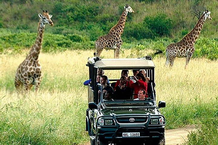 Cape Town - The best of Aquila Safari Full day Tour  - Image 1