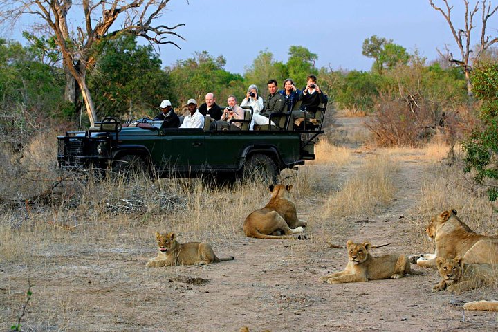 Cape Town - The Best of Aquila Safari Tour  - Image 2