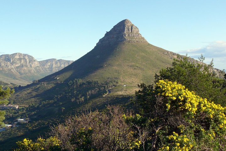 Cape Town to Cape Point Private Day Tour - Image 3