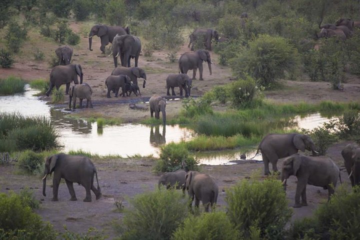 Cape Town, to Knysna 3 Days 3 Nights with Luxury Accommodation (4 Star)  - Image 4
