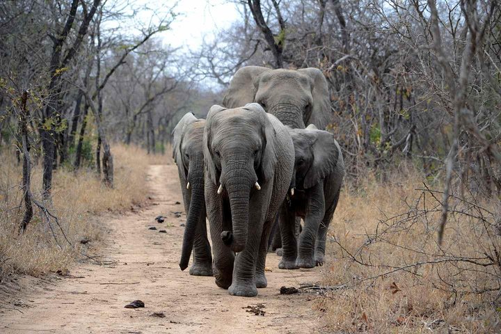 Cape Town, to Knysna 3 Days 3 Nights with Luxury Accommodation (4 Star)  - Image 5