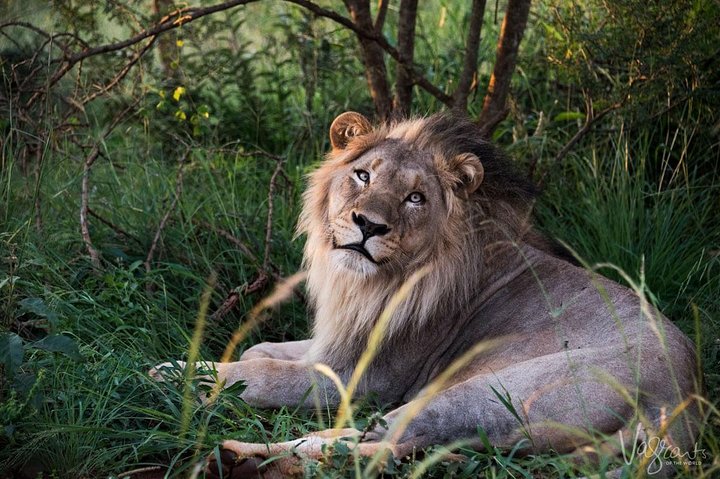 Cape Town, to Knysna 3 Days 3 Nights with Luxury Accommodation (4 Star)  - Image 2