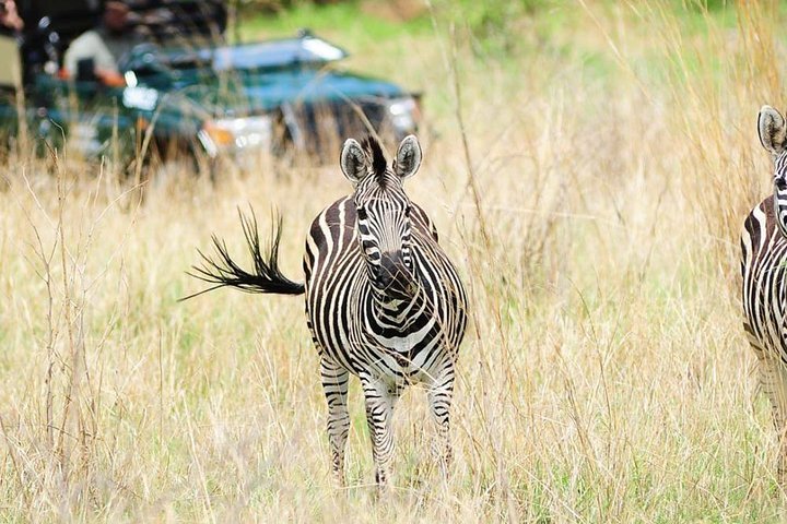 Cape Town, to Knysna 3 Days 3 Nights with Luxury Accommodation (4 Star)  - Image 1