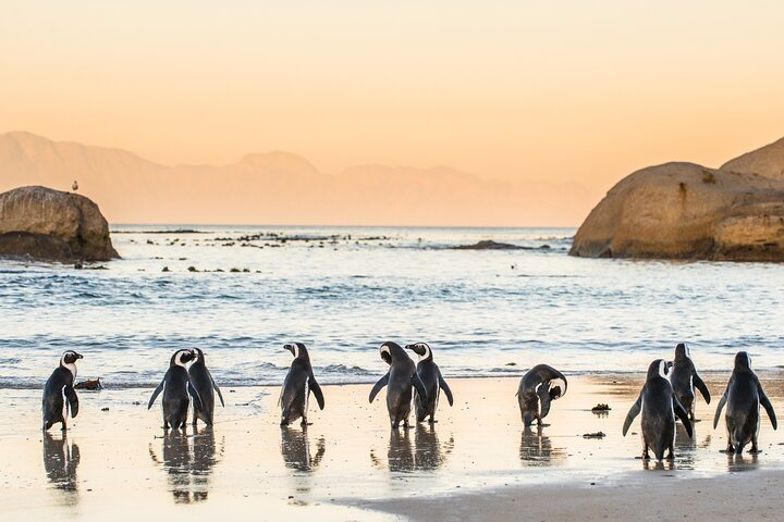 Cape Town to Kruger National Park private tour - Image 4