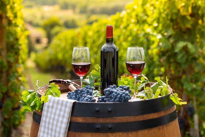 Cape Town Top range Winelands tour and Tasting - Image 1