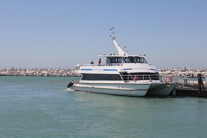 (Cape Town Tour) 3Days -Robben Island getaway & Table Mountain Car & wine taste - Image 2