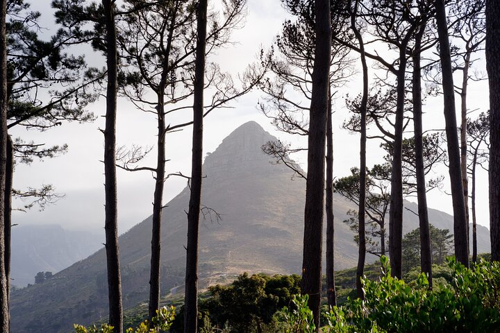 Cape Town Tour with Breakfast, Dinner and TM Pendant Gift - Image 4