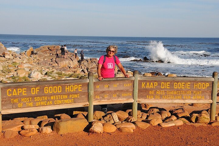 Cape Town Zipline, Penguins and Cape of Good Hope Private Tour - Image 3