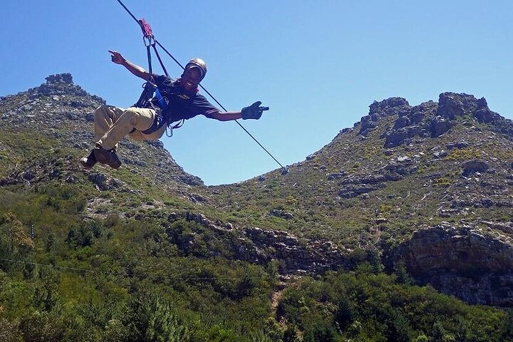 Cape Town Zipline, Penguins and Cape of Good Hope Private Tour - Image 1