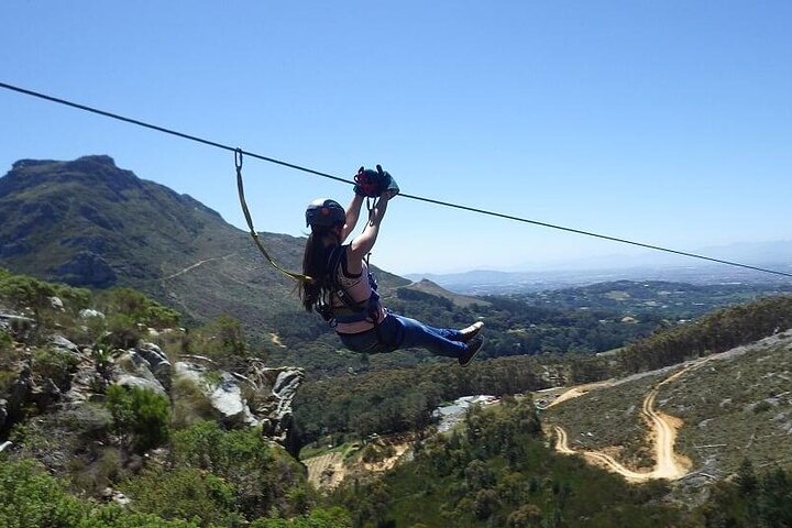 Cape Town Ziplining Wine Tasting and Table Mountain Private Tour - Image 3
