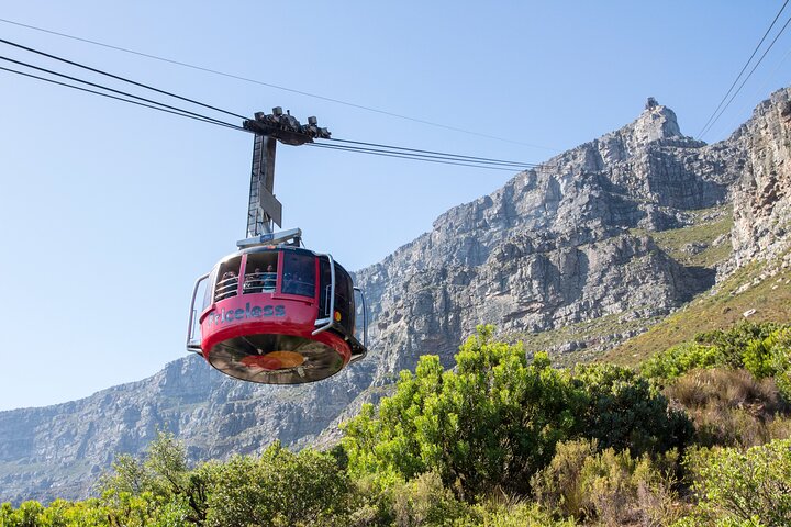 Cape Town Ziplining Wine Tasting and Table Mountain Private Tour - Image 2