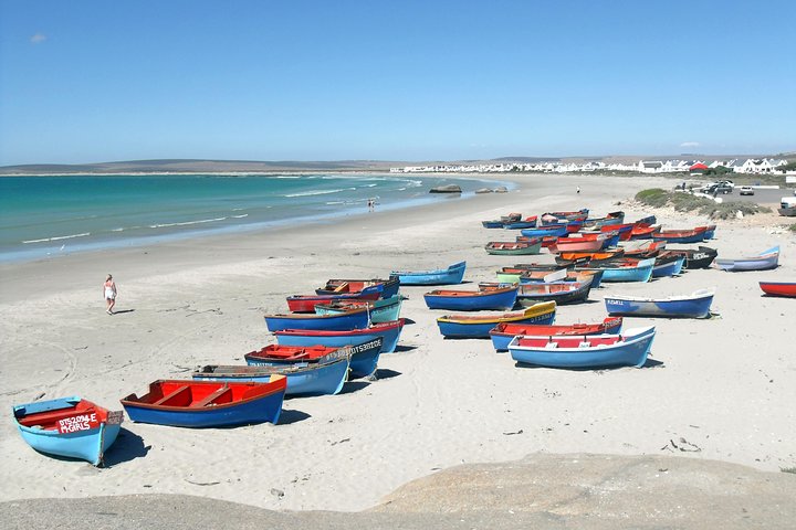 Cape West Coast Full Day Private Day Tour - Image 2