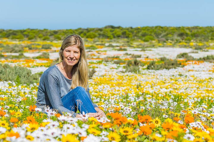 Cape West Coast Full Day Private Day Tour - Image 1