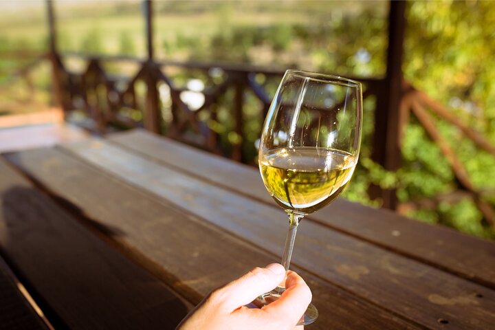 Cape Winelands and Kisternbosch Botanical Garden Full Day Tour. - Image 1