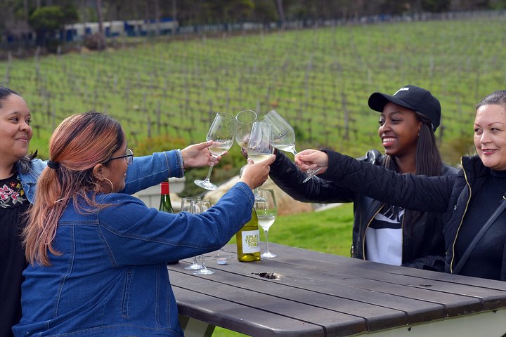 Cape Winelands shared day tour from Cape Town to Stellenbosch and Franschhoek - Image 3