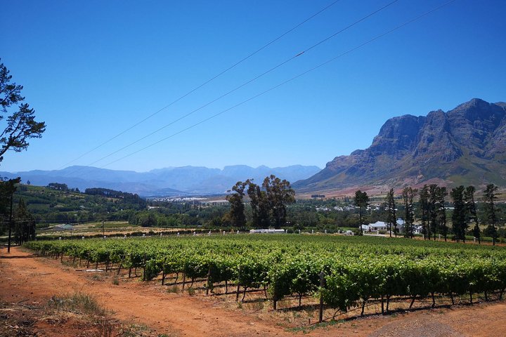 Cape Winelands Stellenbosch Franschhoek Paarl Tour from Cape Town - Image 4