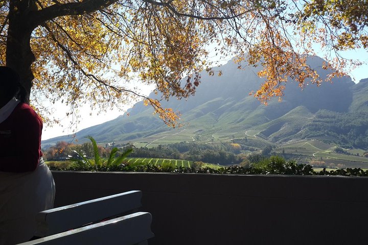 Cape Winelands Tour from Cape Town (Private Tour) - Image 5