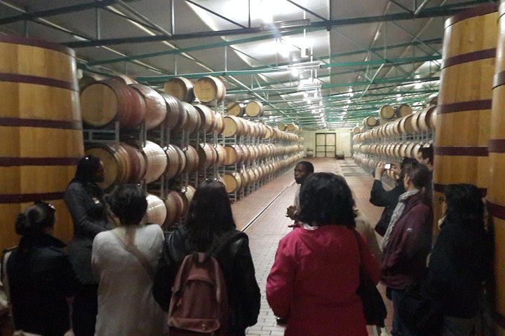 Cape Winelands Tour from Cape Town (Private Tour) - Image 1