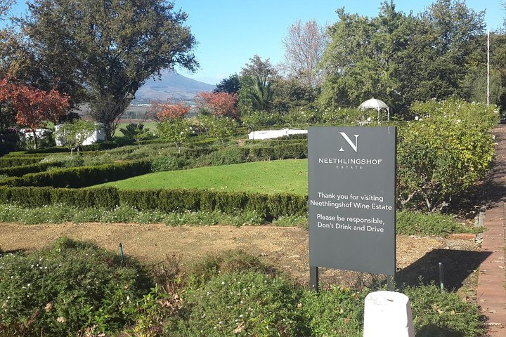 Cape Winelands Tour from Cape Town (Private Tour) - Image 3