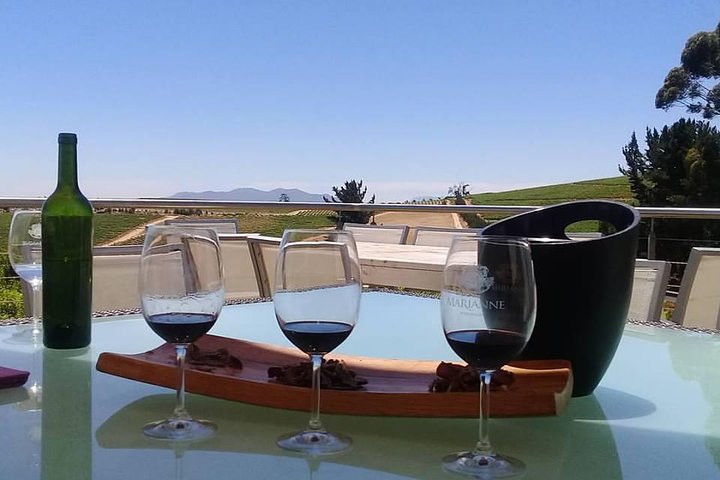 Cape Winelands Wine Tour - Image 4