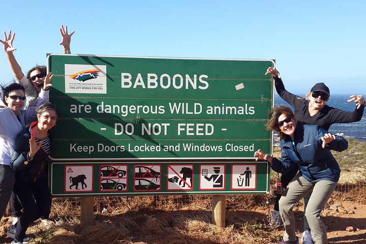 Cape2Addo Safari Adventure (8days) - Image 3