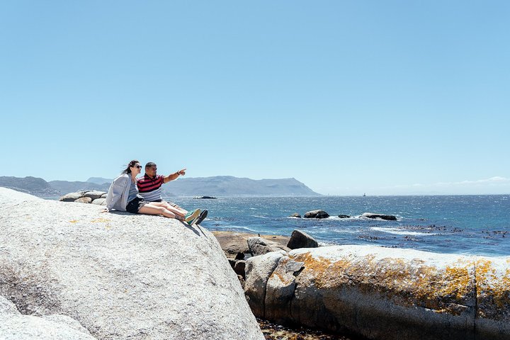 City Escape: Cape Peninsula Private Day Trip - Image 4