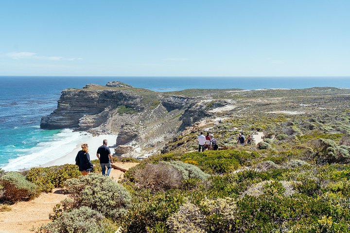 City Escape: Cape Peninsula Private Day Trip - Image 2