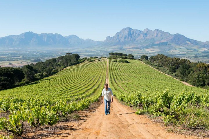 Constantia Winelands Private Wine Tour from Cape Town - Image 3