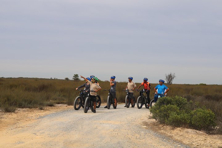 E-Bike Safari Tour - Image 3