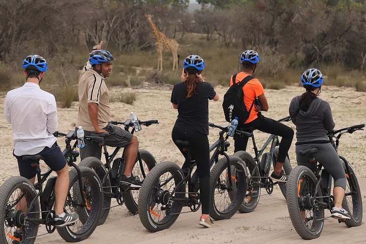 E-Bike Safari Tour - Image 4