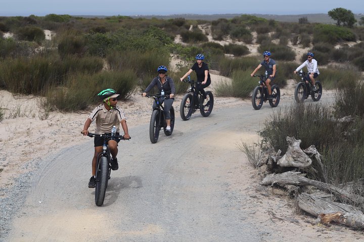 E-Bike Safari Tour - Image 2
