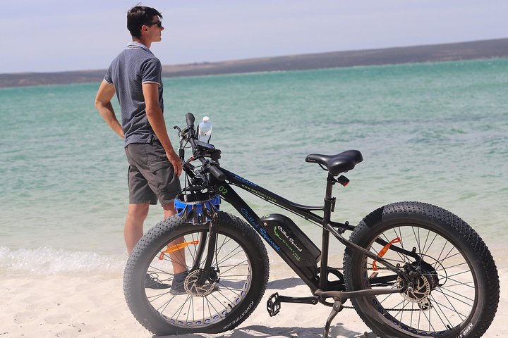 E-Bike Safari Tour - Image 5