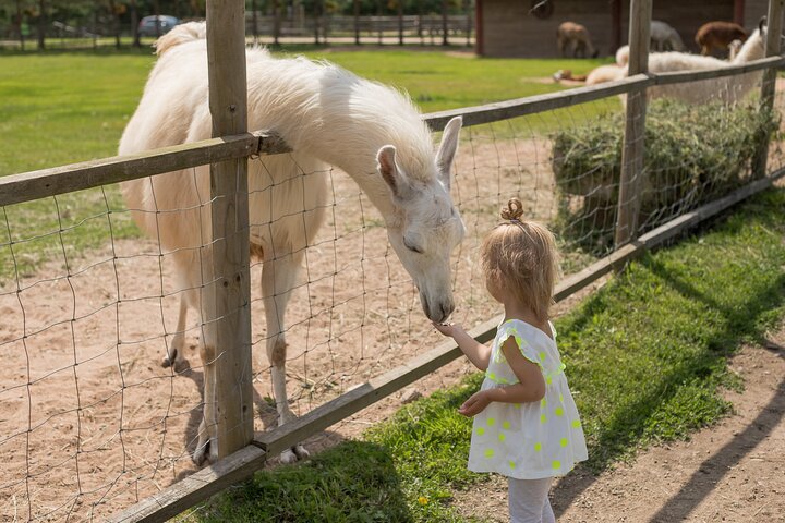 Family Fun Day out - Image 5