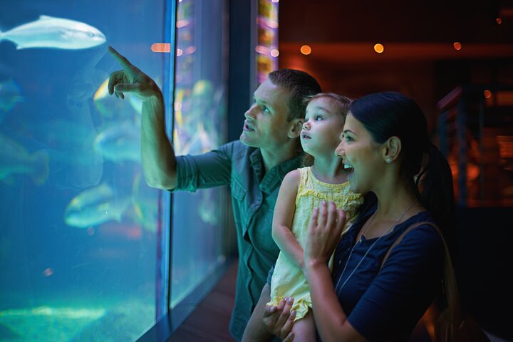 Family Fun Day out - Image 1