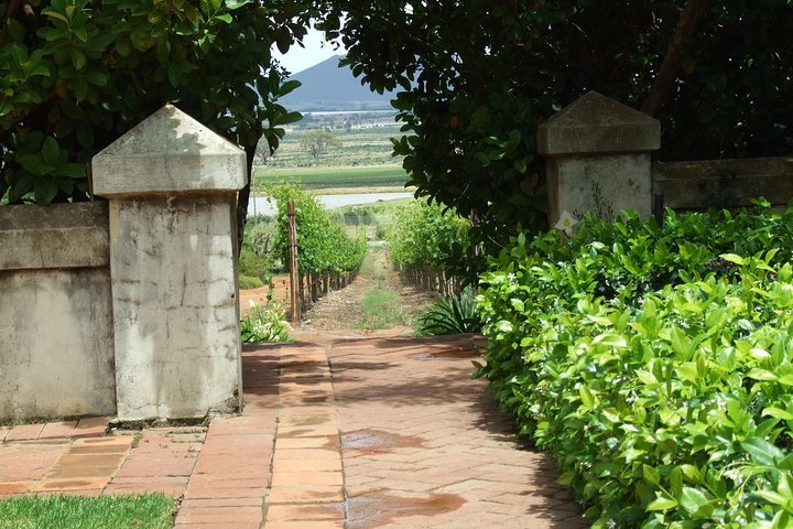 Fine Wines & Vines Full Day Tour - Image 5